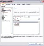 excel ayarları.JPG