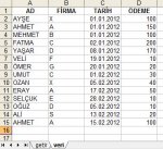 sorgu_ornegi_veri.jpg